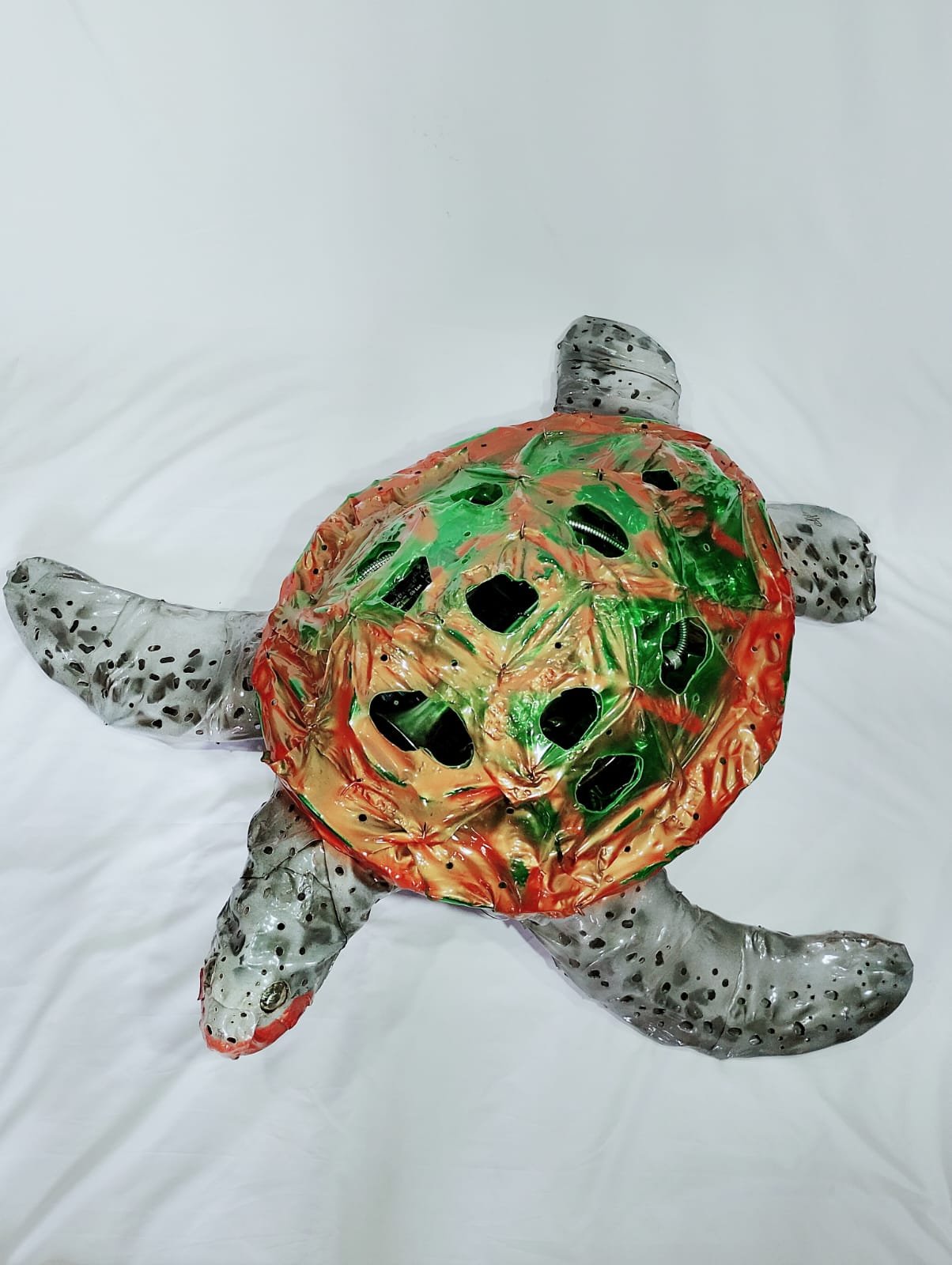 Tartaruga Marinha - Imagem 4