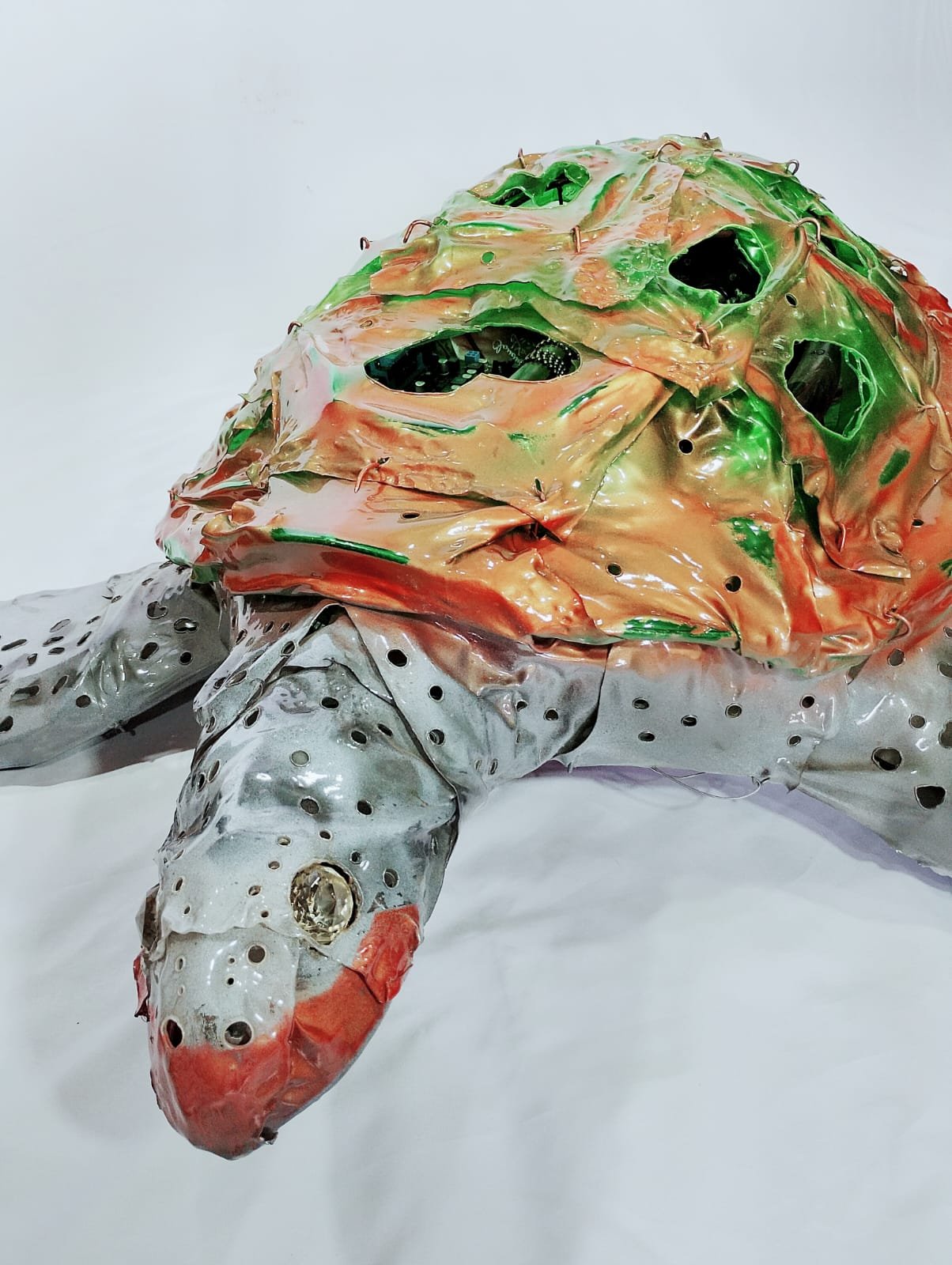 Tartaruga Marinha - Imagem 5