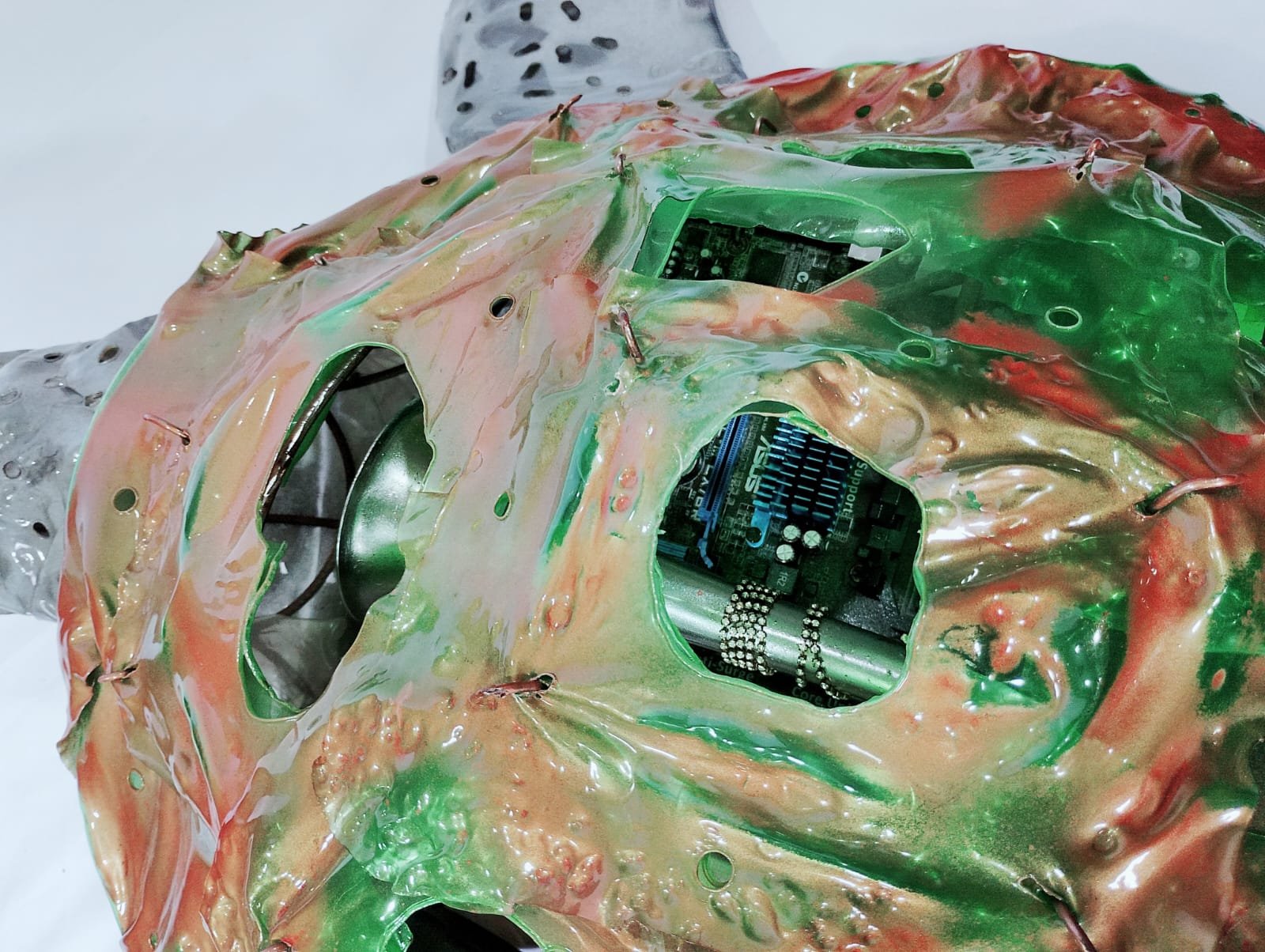 Tartaruga Marinha - Imagem 2