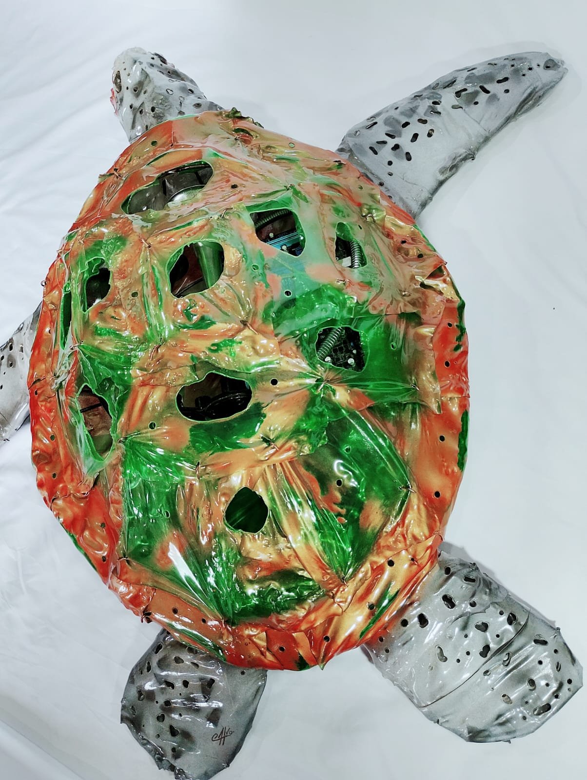 Tartaruga Marinha - Imagem 3